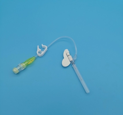 24G 	Tipo eliminabile infusione neonatale pediatrica gialla della farfalla della cannula IV